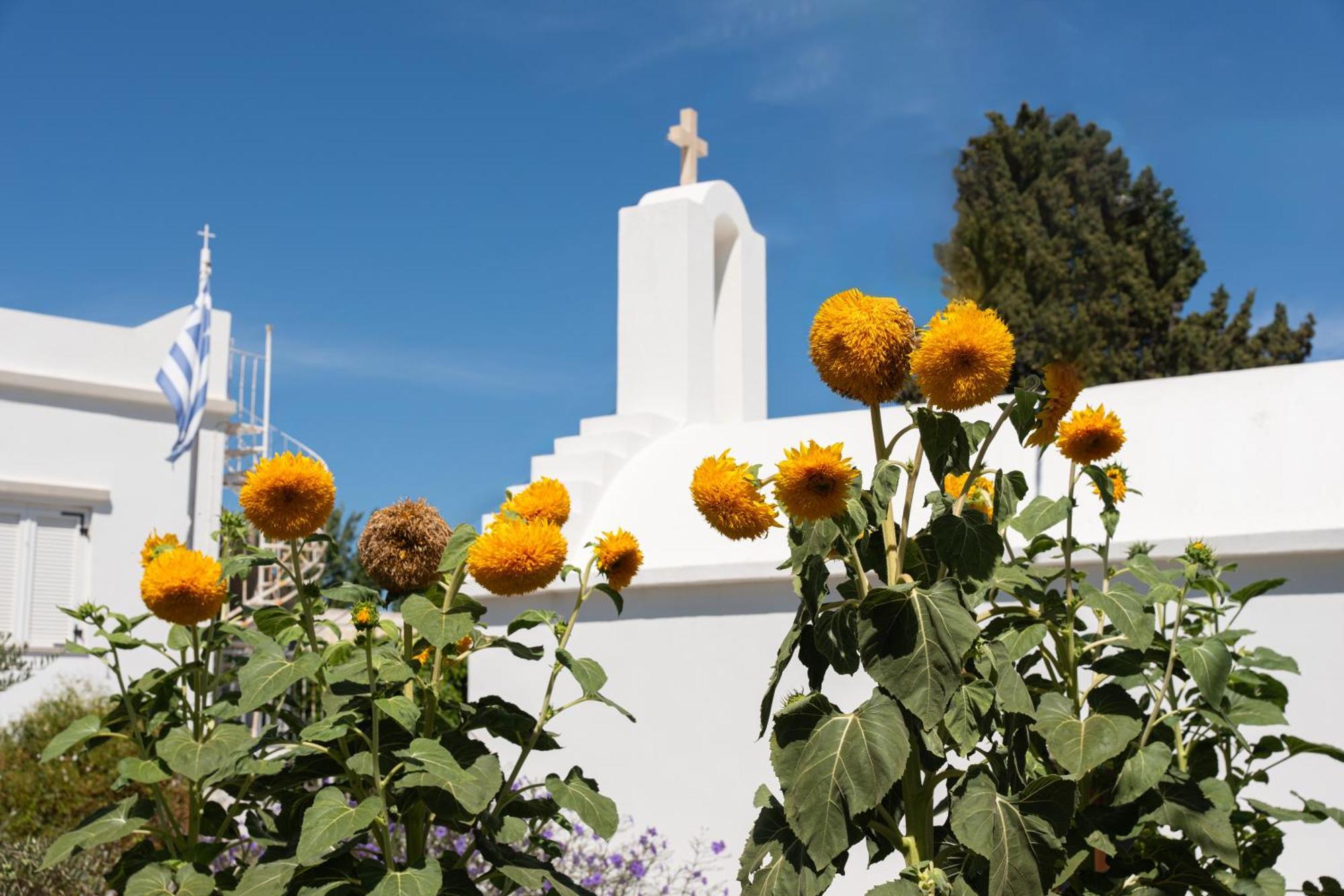 Perivoli * Parikia (Paros)